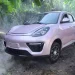 Compact electric car parked in tropical setting, symbolizing Kenya’s shift to eco-friendly mobility.
